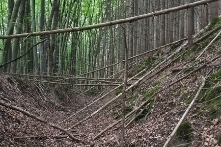 20260830_193919.jpg