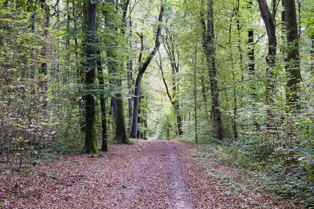 20260831_183127.jpg