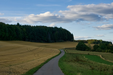 20260901_183731.jpg