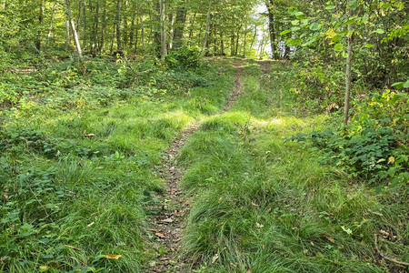 20260902_172355.jpg