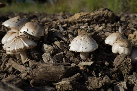 20260902_173004.jpg