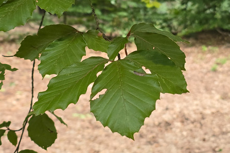 20260903_172735.jpg