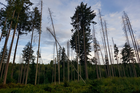 20260903_193211.jpg
