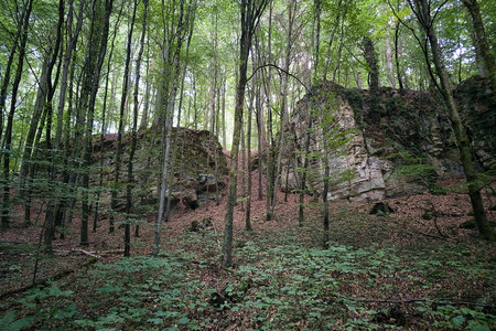 20260903_195434.jpg