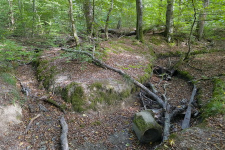 20260906_170236.jpg