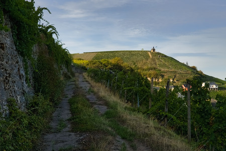 20260906_181347.jpg