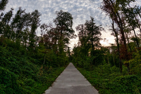 20260906_191916.jpg