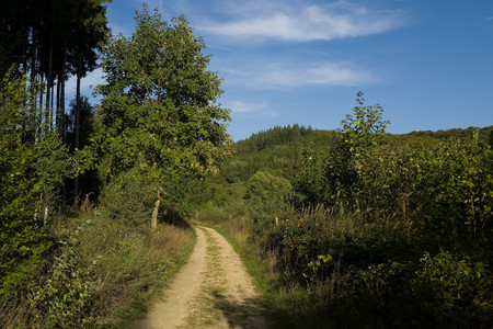 20260907_181323.jpg