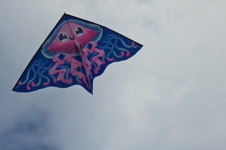 20260908_164236.jpg