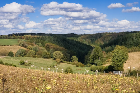 20260908_170055.jpg