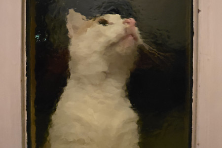 20260909_205820.jpg