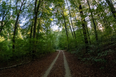20260910_182900.jpg