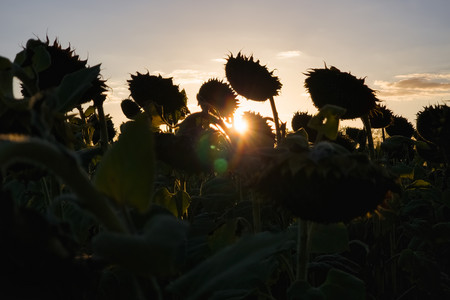 20260910_192903.jpg