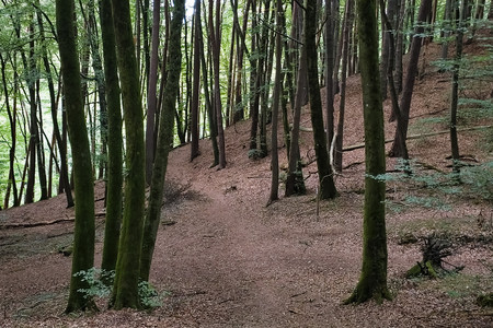 20260911_182857.jpg