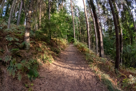 20260911_184147.jpg