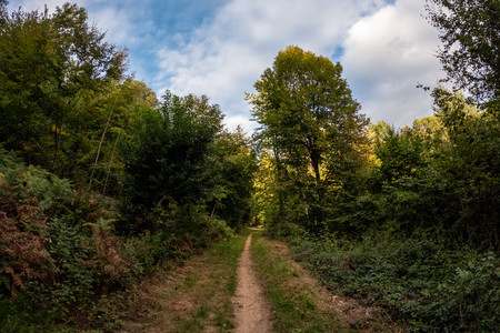20260911_184422.jpg