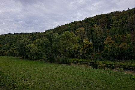 20260912_191216.jpg
