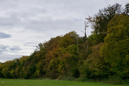 20260913_123522.jpg