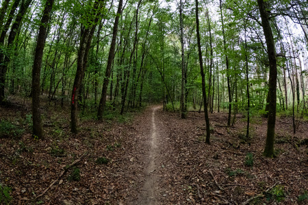 20260913_142458.jpg