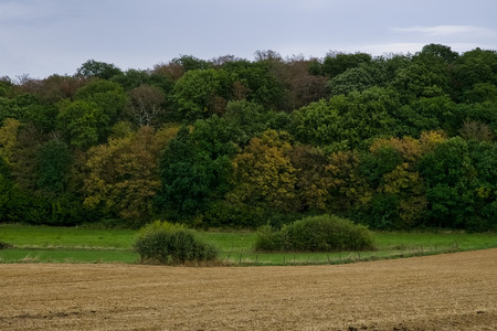 20260913_145554.jpg