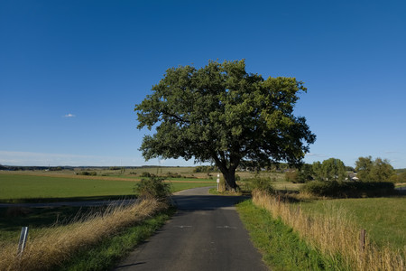 20260915_172640.jpg