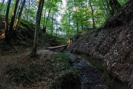 20260915_181818.jpg
