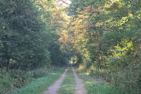 20260915_183206.jpg