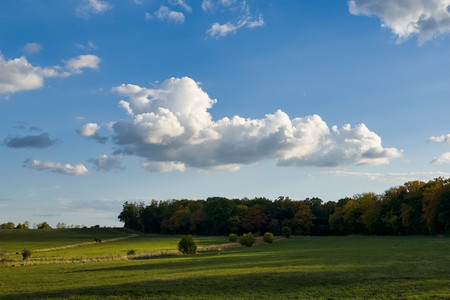 20260916_180841.jpg