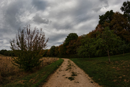 20260917_164654.jpg