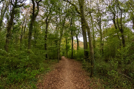 20260917_164756.jpg