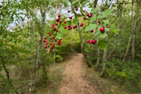 20260917_165345.jpg
