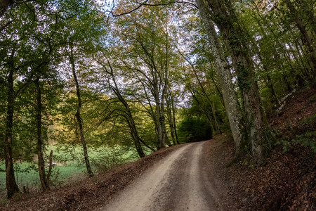 20260917_171516.jpg