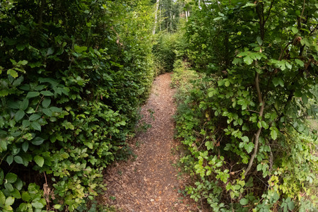 20260917_174024.jpg