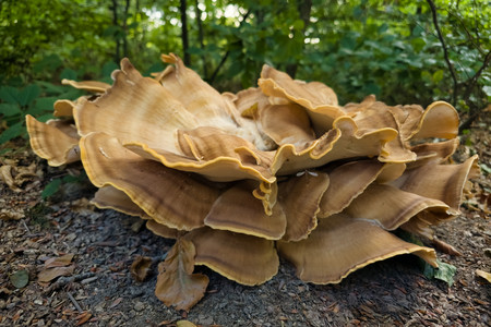 20260917_174706.jpg