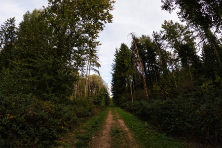 20260919_172548.jpg