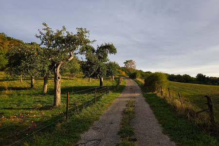 20260919_184624.jpg