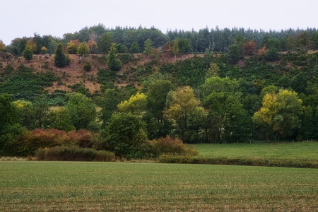 20260920_163559.jpg