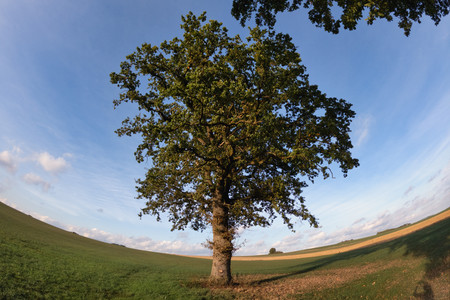 20260920_181248.jpg