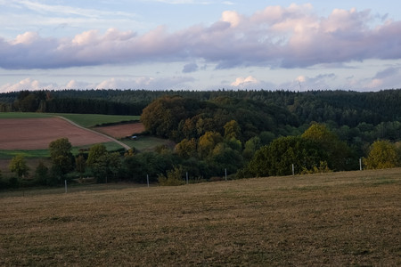 20260920_191351.jpg