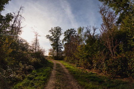 20260921_174152.jpg