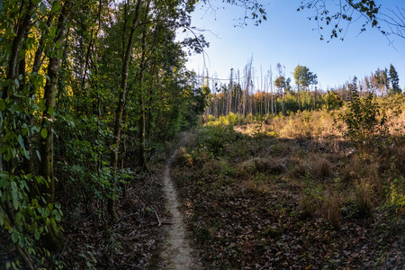 20260922_165803.jpg