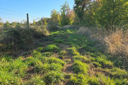 20260922_173346.jpg
