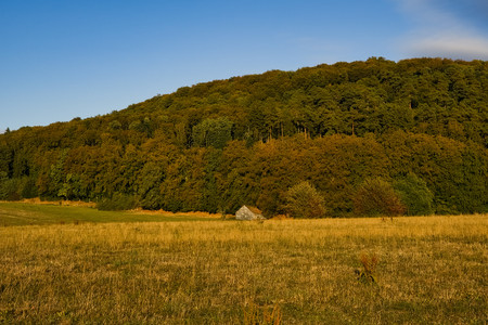20260923_183234.jpg