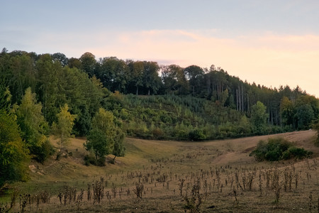 20260923_193411.jpg