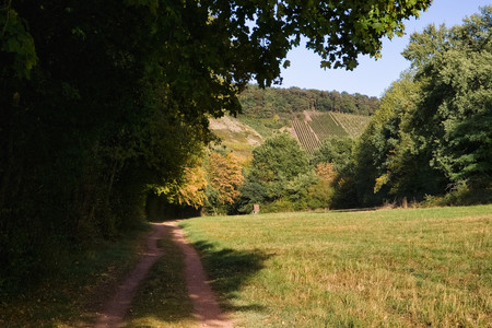 20260924_172032.jpg