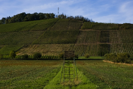 20260924_172522.jpg