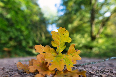 20260924_173536.jpg