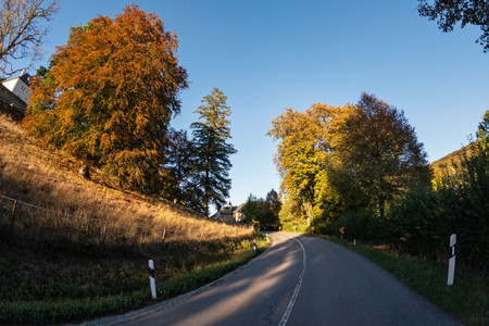 20260925_182731.jpg