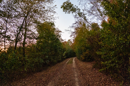 20260925_190949.jpg