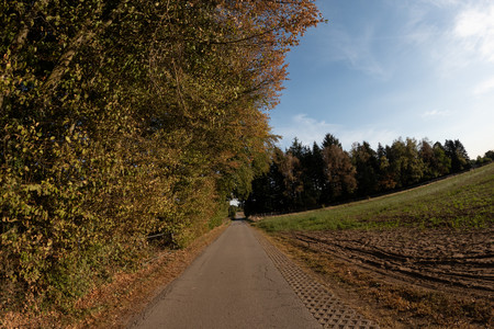 20260926_173946.jpg